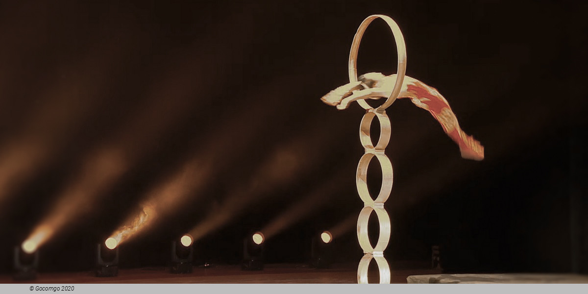Shanghai Acrobatic Show Ticket with Private Transfer, photo 4