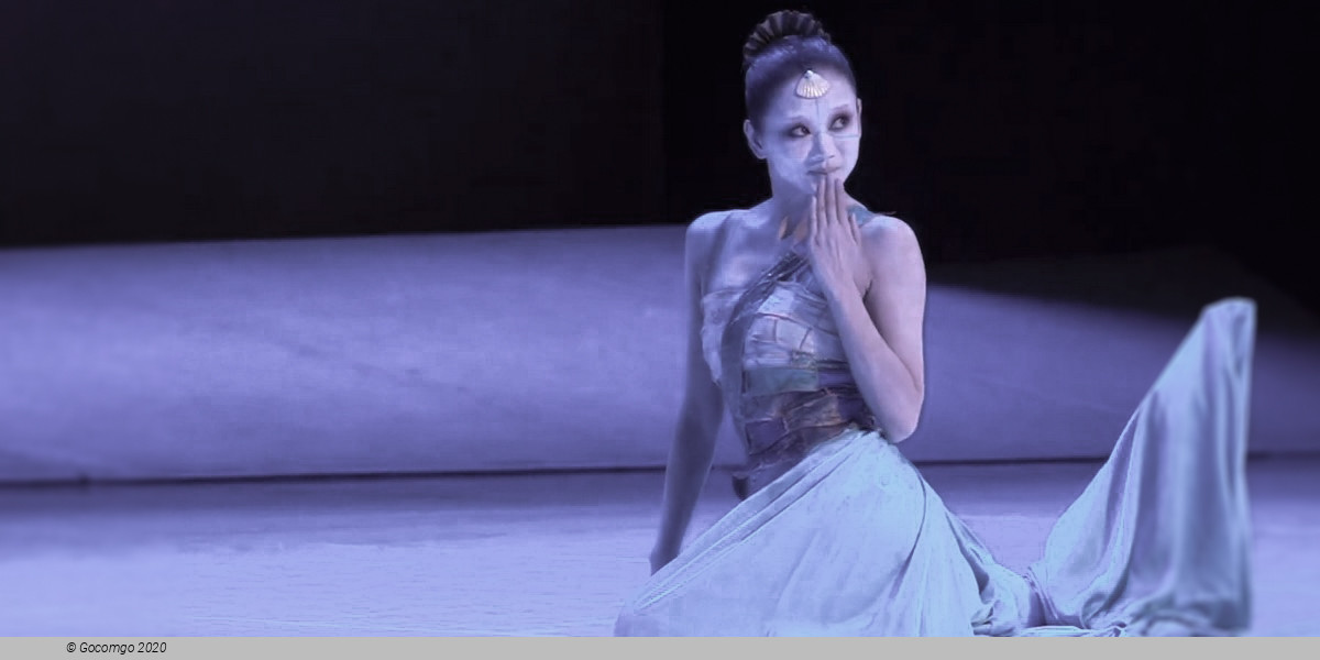 National Ballet of China: The Little Mermaid, photo 2