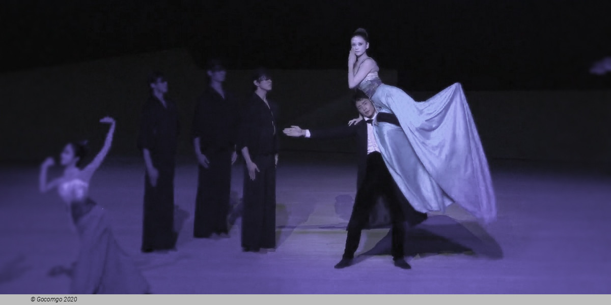 National Ballet of China: The Little Mermaid, photo 3