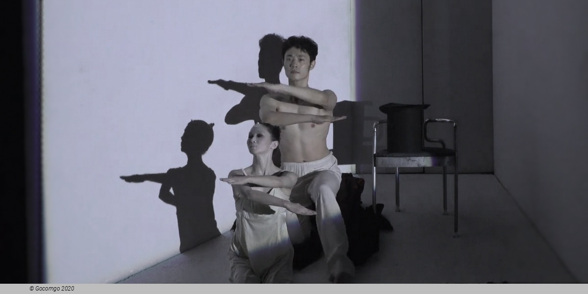 National Ballet of China: The Little Mermaid, photo 8