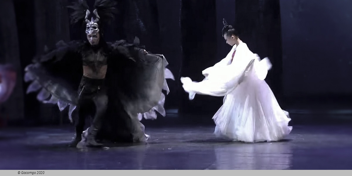 Guangzhou Arts Season 2023: Acrobatic Drama "Swan", photo 2