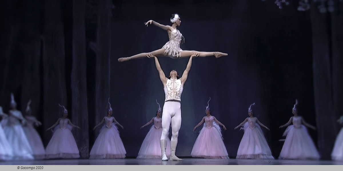 Guangzhou Arts Season 2023: Acrobatic Drama "Swan", photo 4
