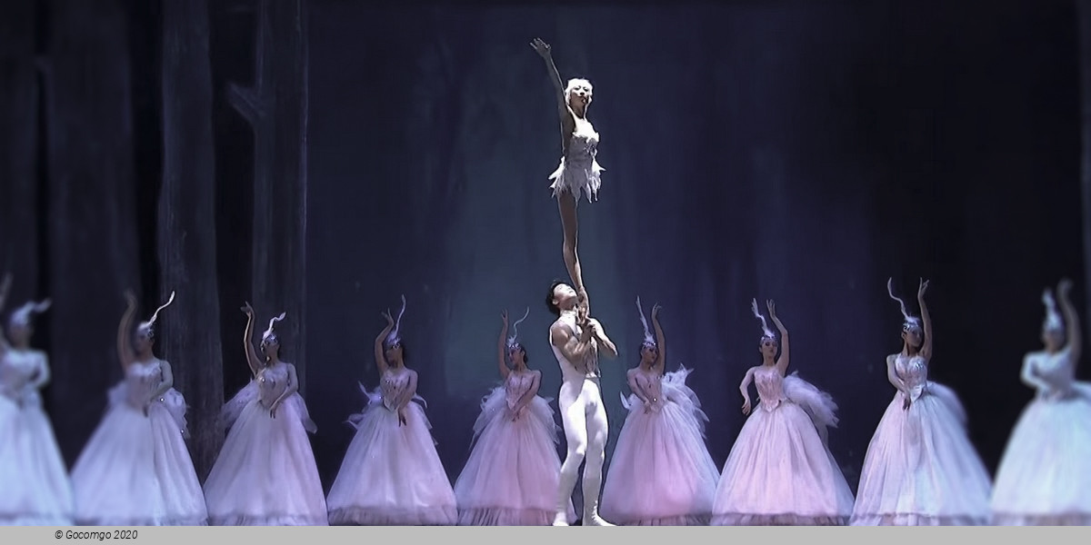 Guangzhou Arts Season 2023: Acrobatic Drama "Swan", photo 5