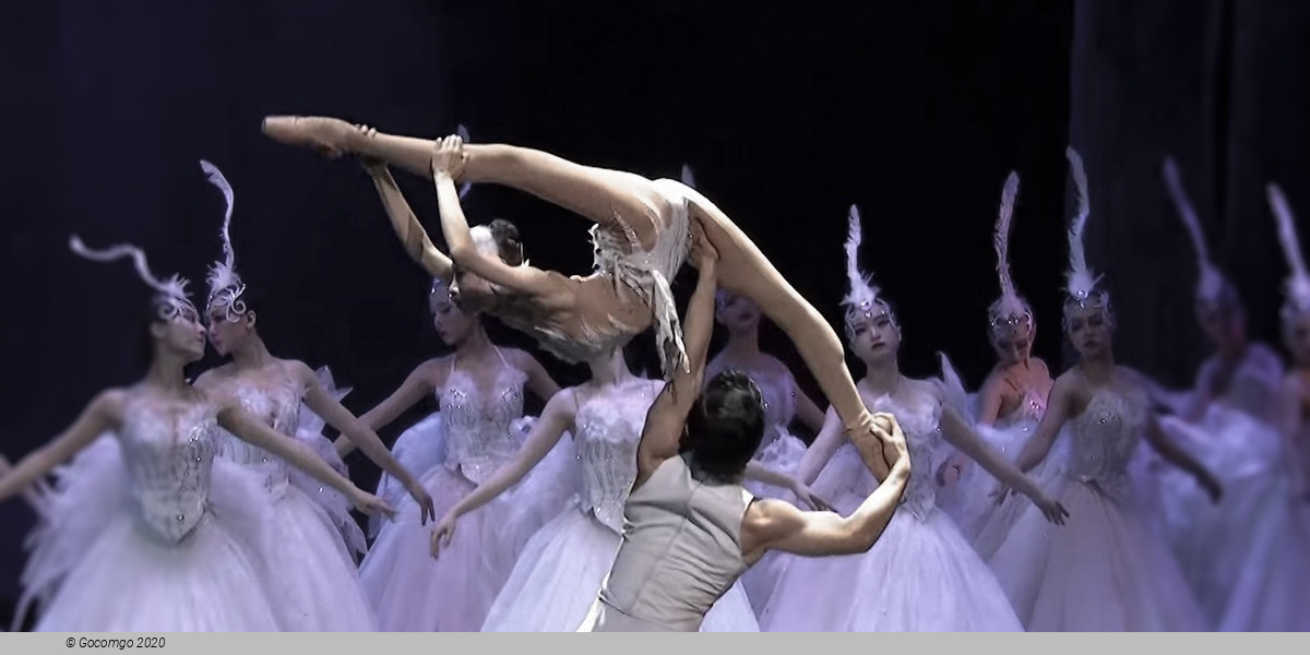 Guangzhou Arts Season 2023: Acrobatic Drama "Swan", photo 1