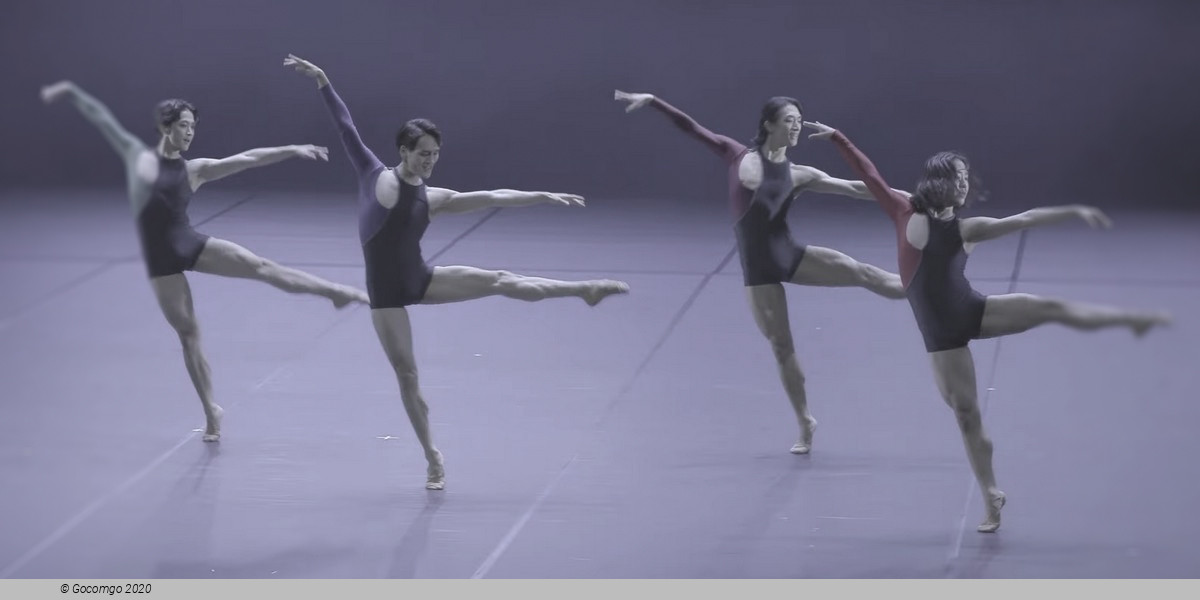 Modern Ballet Series