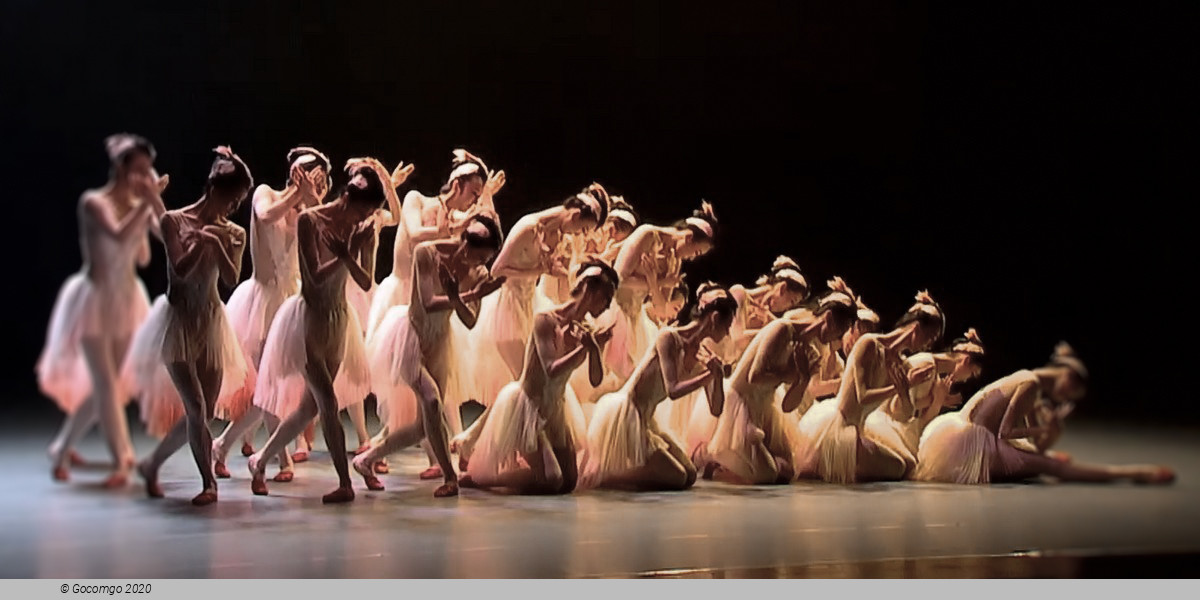 Shanghai Dance Theatre: The Eternal Wave