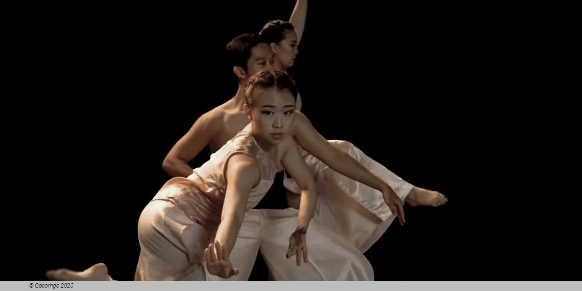 Hong Kong Dance Company 2023/24 Annual Dance Season-Family Dance Theater
