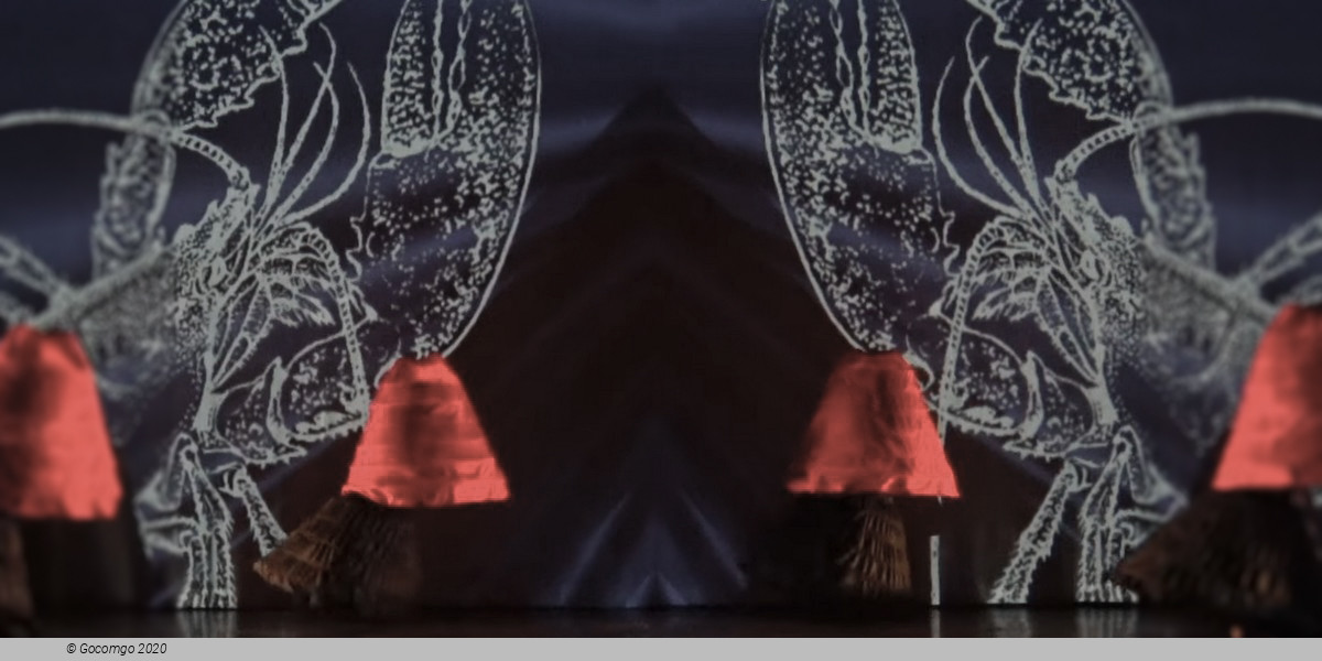 Alice by MOMIX