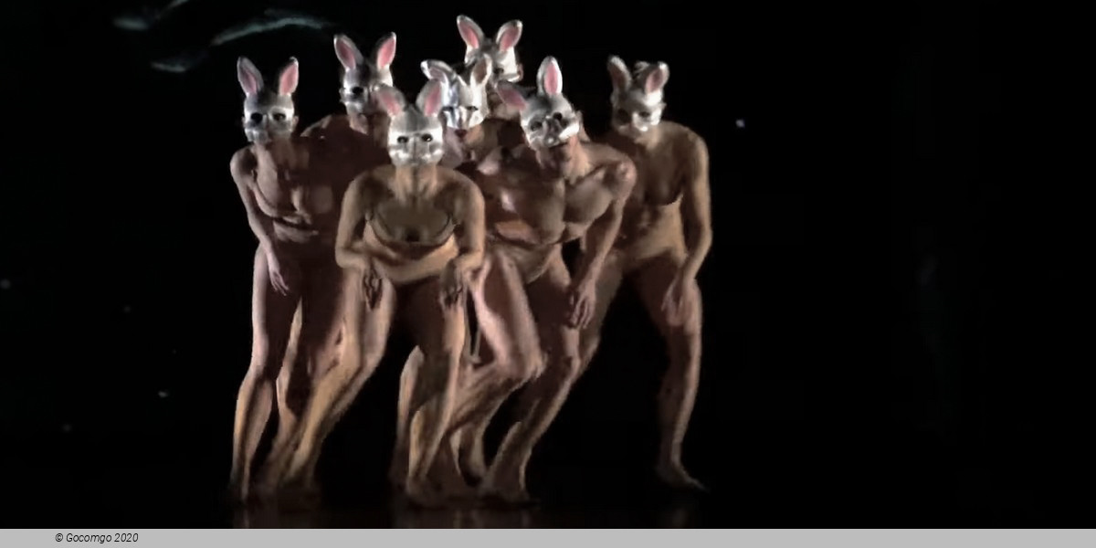 Alice by MOMIX