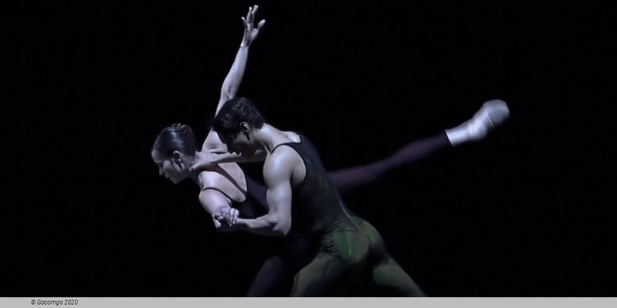 Evening of contemporary choreography "Next Steps": Belles-Lettres. Frank Bridge Variations. New Work by Melissa Barak
