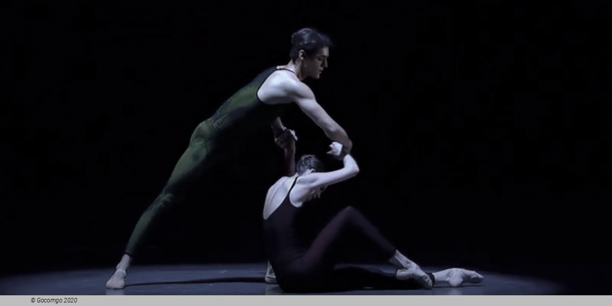 Evening of contemporary choreography "Next Steps": Belles-Lettres. Frank Bridge Variations. New Work by Melissa Barak