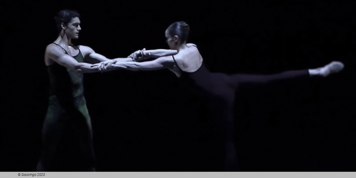 Evening of contemporary choreography "Next Steps": Belles-Lettres. Frank Bridge Variations. New Work by Melissa Barak