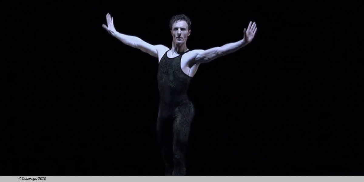 Evening of contemporary choreography "Next Steps": Belles-Lettres. Frank Bridge Variations. New Work by Melissa Barak