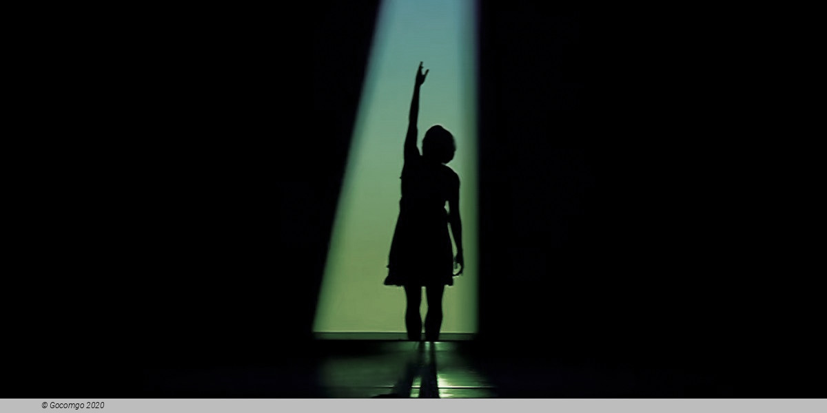 Shadowland