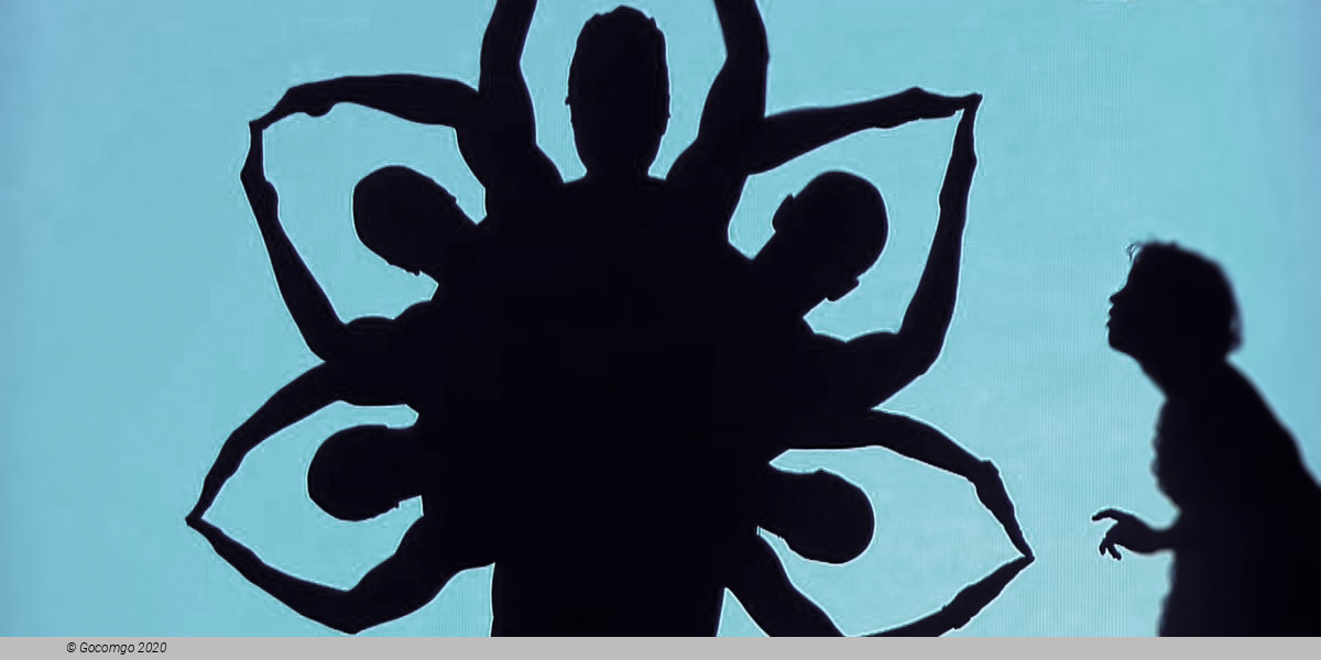Shadowland