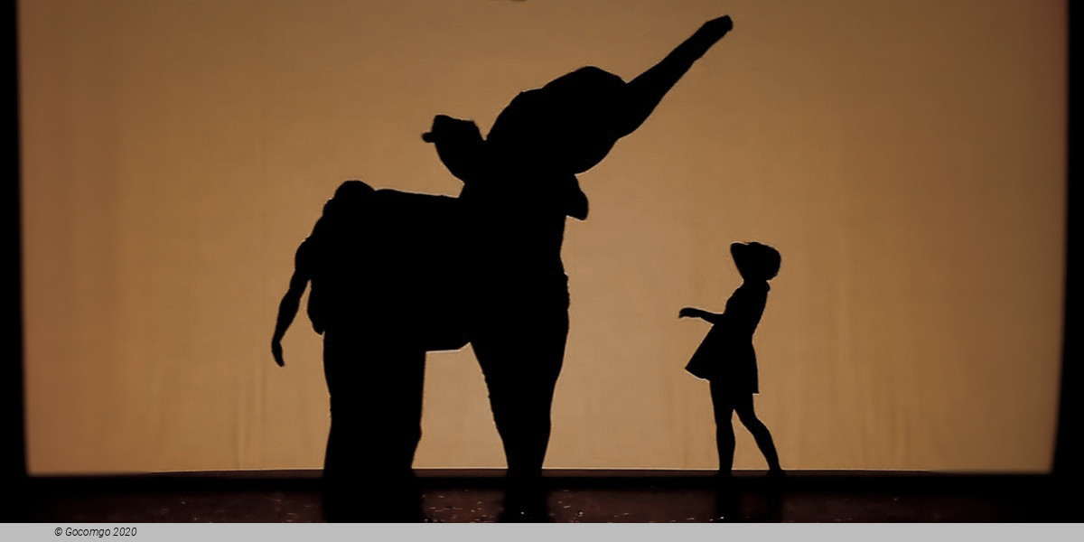 Shadowland