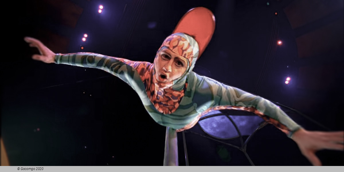 Mystère by Cirque du Soleil