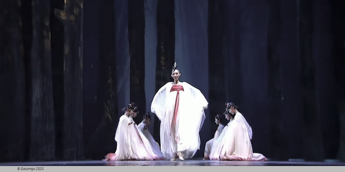 Swan Lake - an Acrobatic Ballet, photo 2