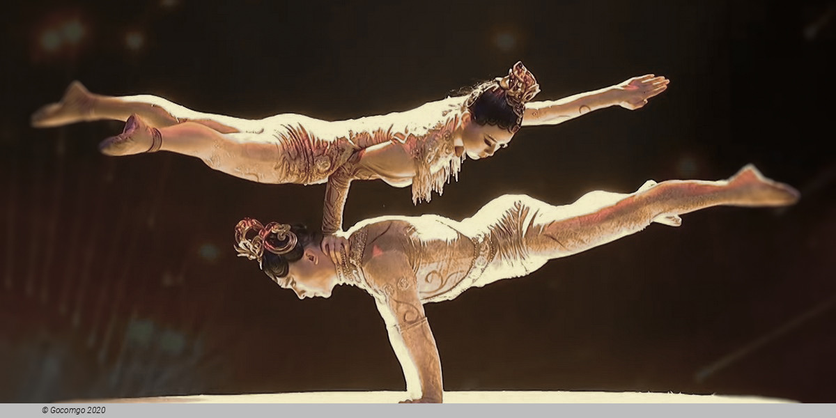 Swan Lake - an Acrobatic Ballet, photo 1