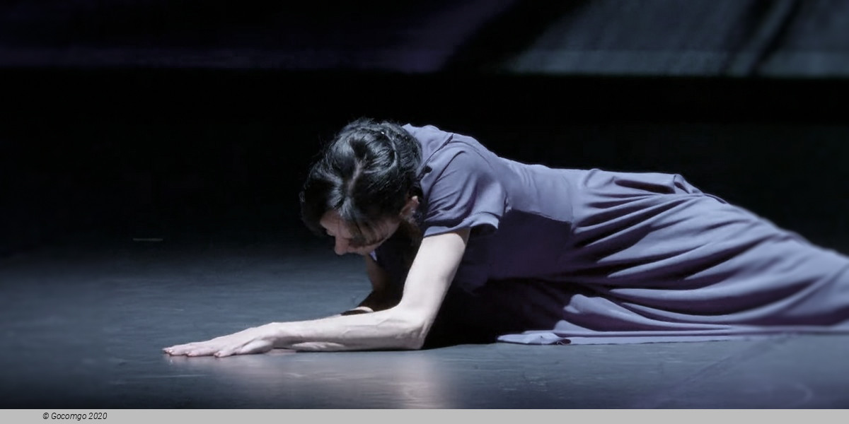 Guest Performance - Lucia Lacarra Ballet: Lost Letters