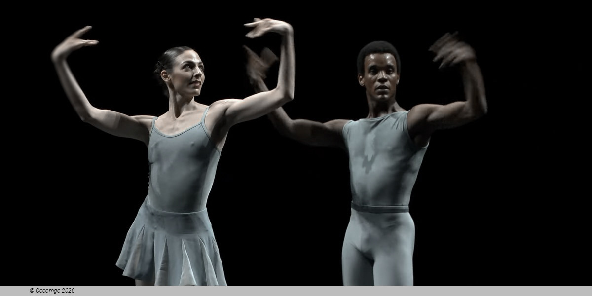 Generation Dance: works by Hans van Manen, William Forsythe, Ted Brandsen and Rena Butler, photo 6