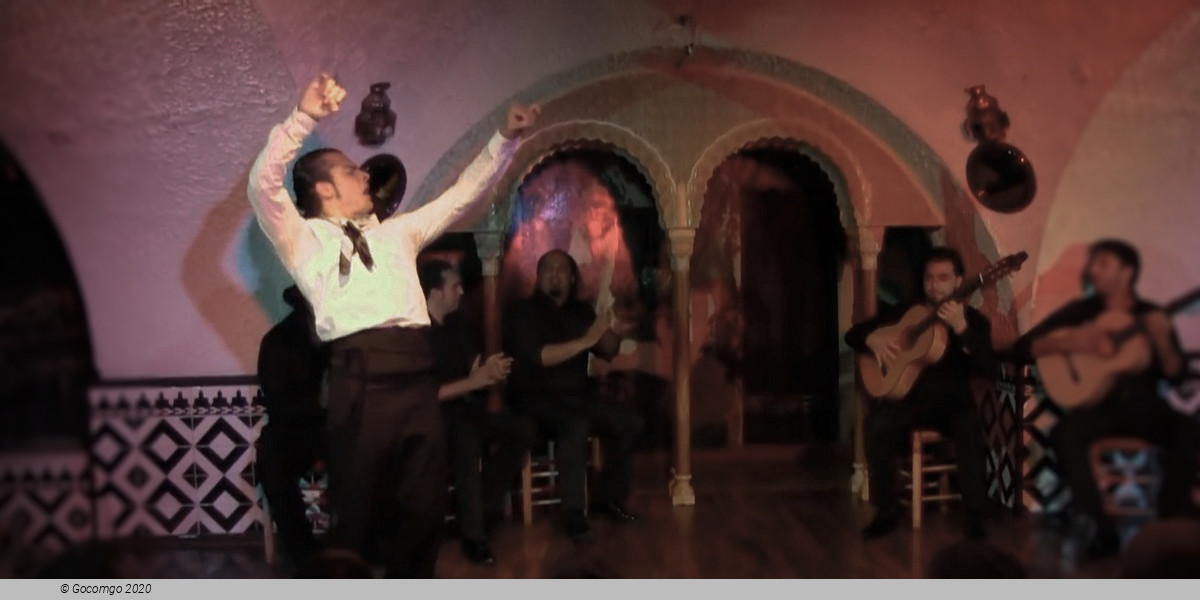 Flamenco in Barcelona Show