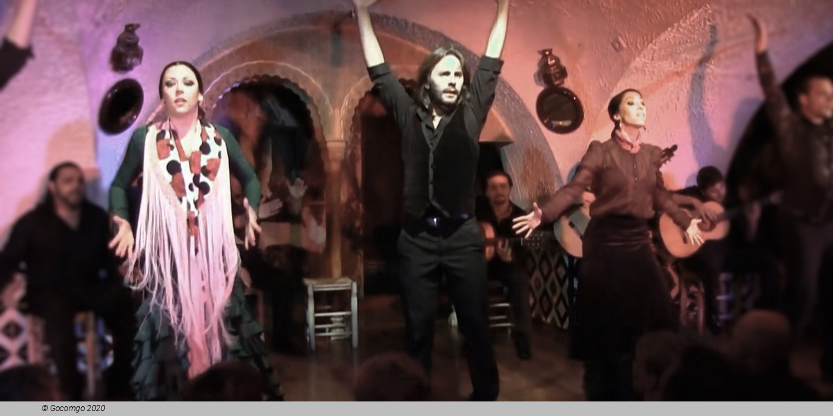 Flamenco in Barcelona Show