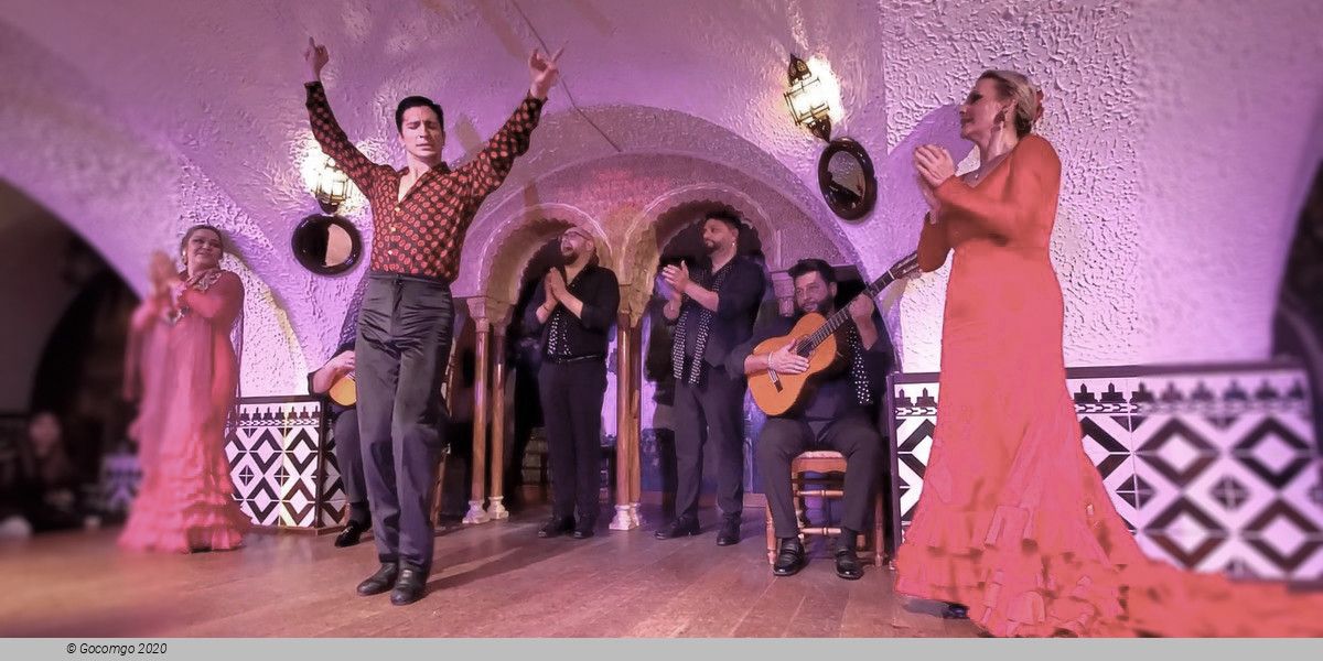 Flamenco in Barcelona Show, photo 1