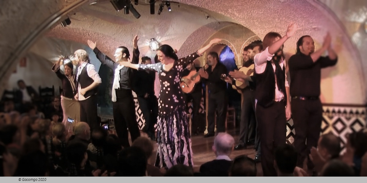 Flamenco in Barcelona Show - New Year' s Eve Gala, photo 1