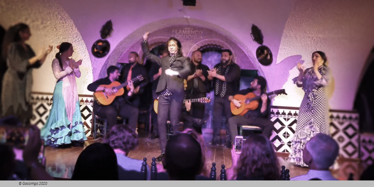 Flamenco in Barcelona Show - New Year' s Eve Gala, photo 8