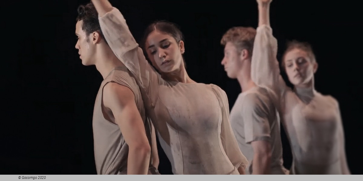 Jocasta’s Line: Oedipus Rex. Antigone, photo 1