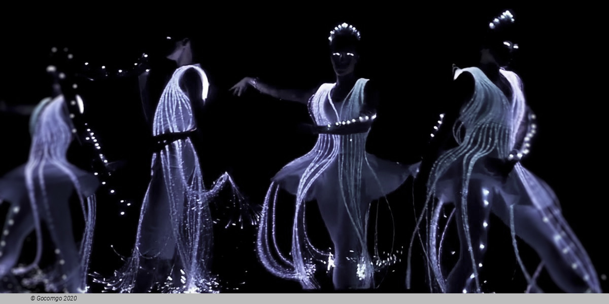 Ballet of Lights: Sleeping Beauty in a Sparkling Show