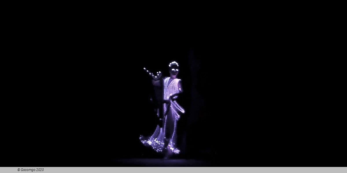 Ballet of Lights: Sleeping Beauty in a dazzling spectacle, photo 2