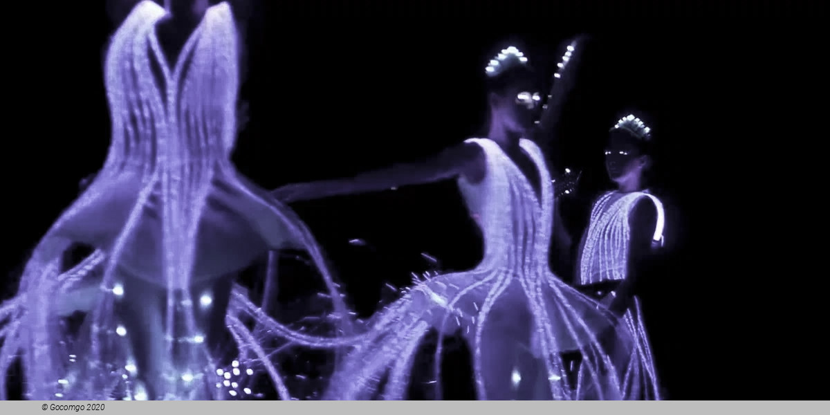 Ballet of Lights: Sleeping Beauty in a dazzling spectacle, photo 4