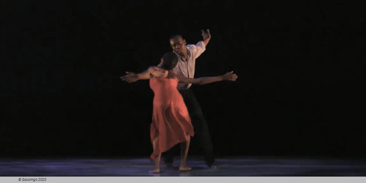 A Case of You, photo 5