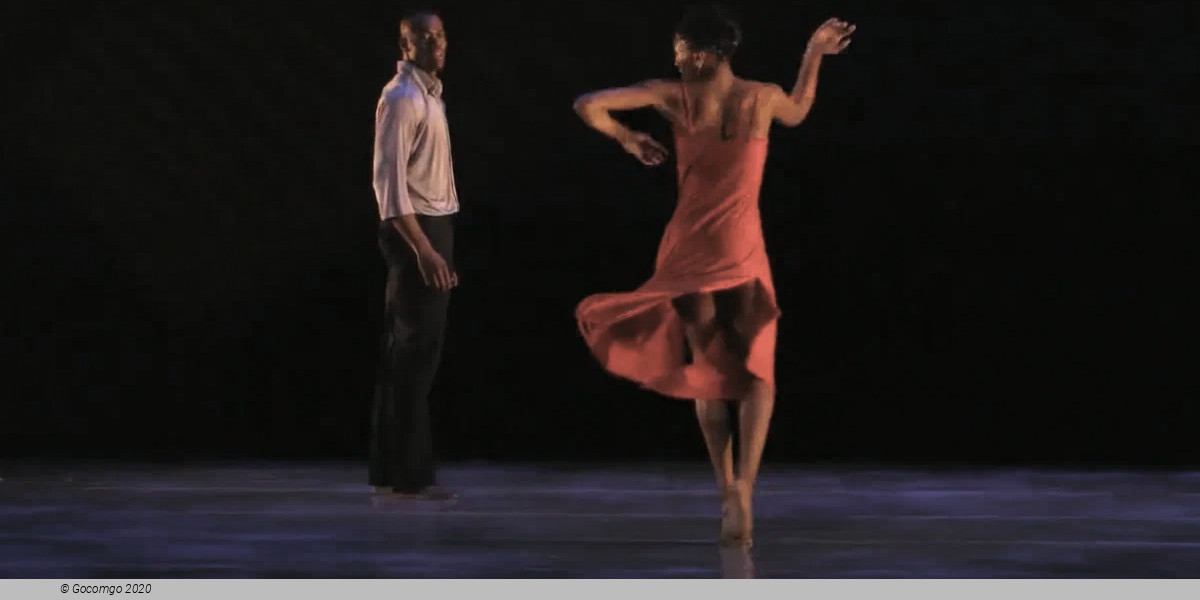 A Case of You, photo 6