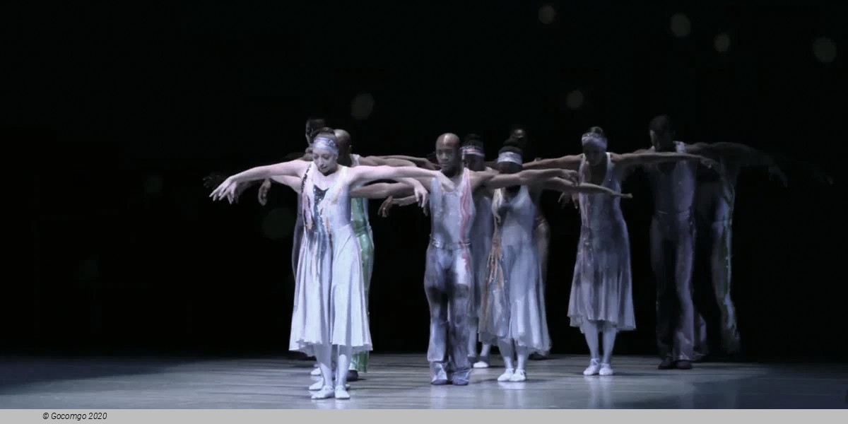 Night Creature, photo 2