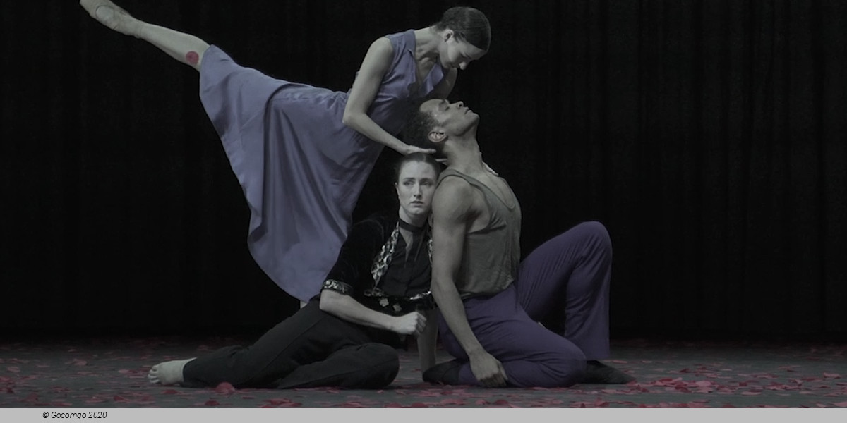 Creation Cathy Marston, photo 3