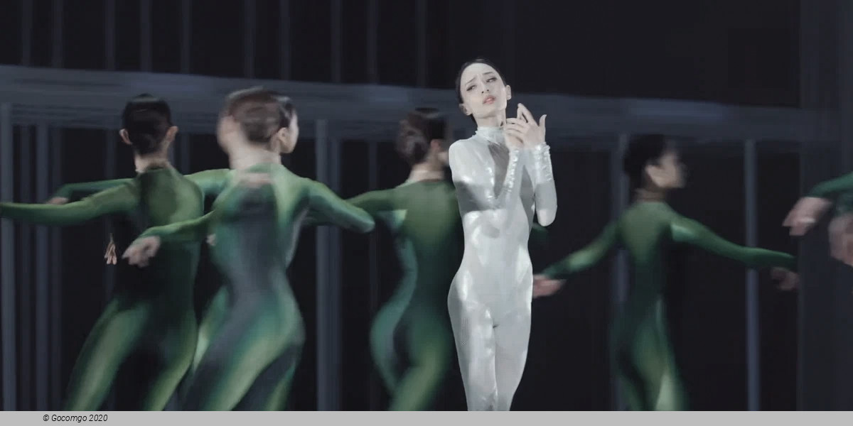 An evening of modern ballets "Background", photo 4