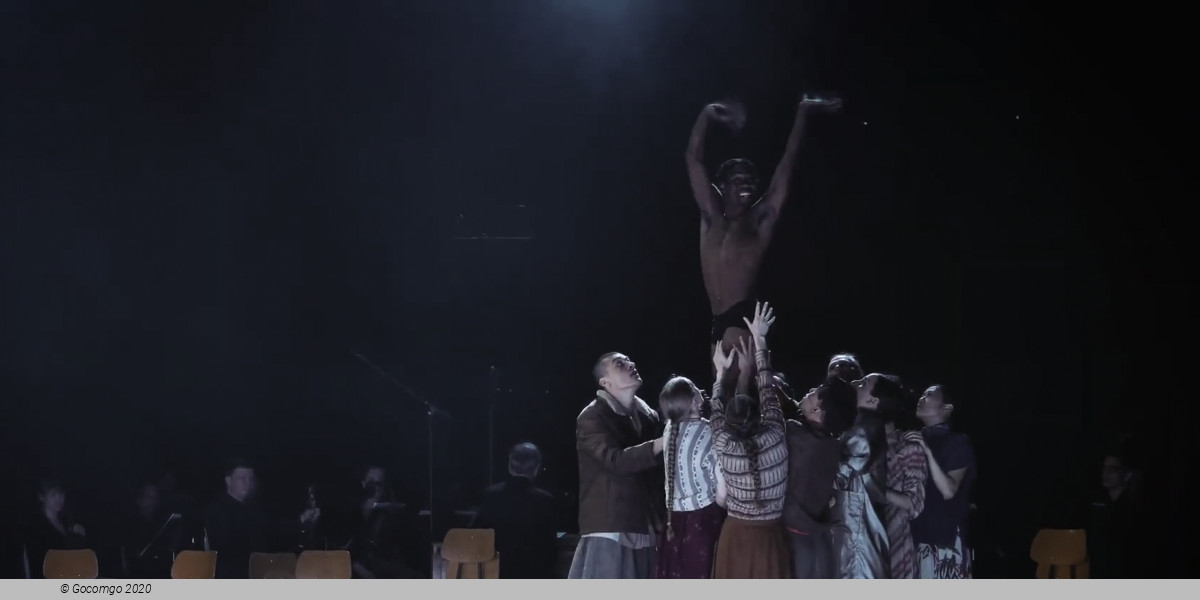 Light – Bach Dances, photo 3