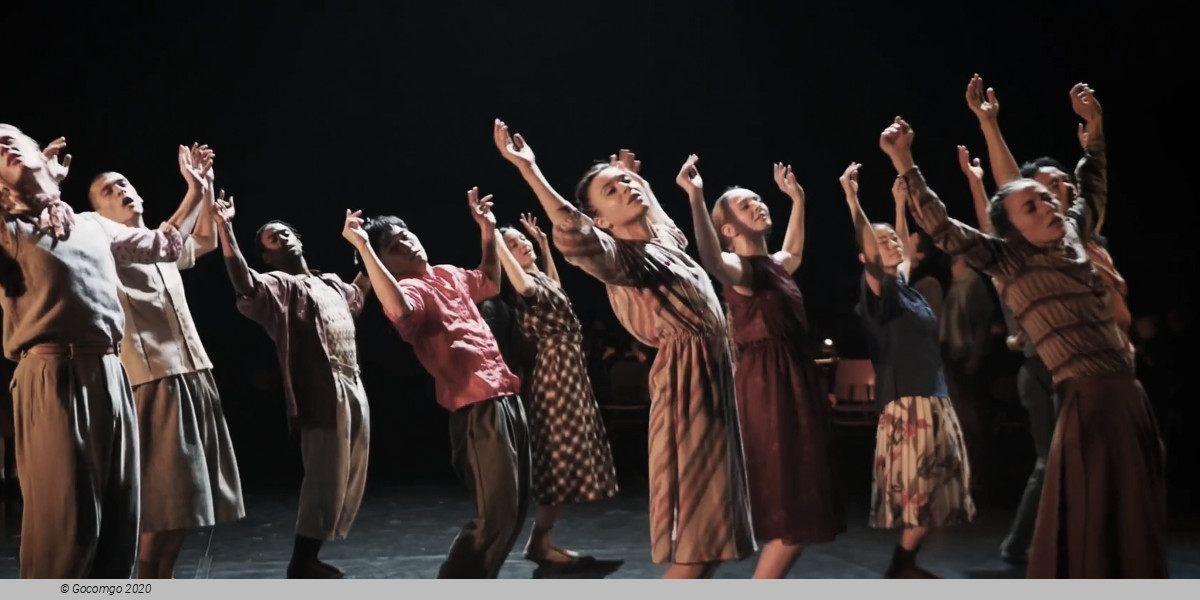 Light – Bach Dances, photo 4