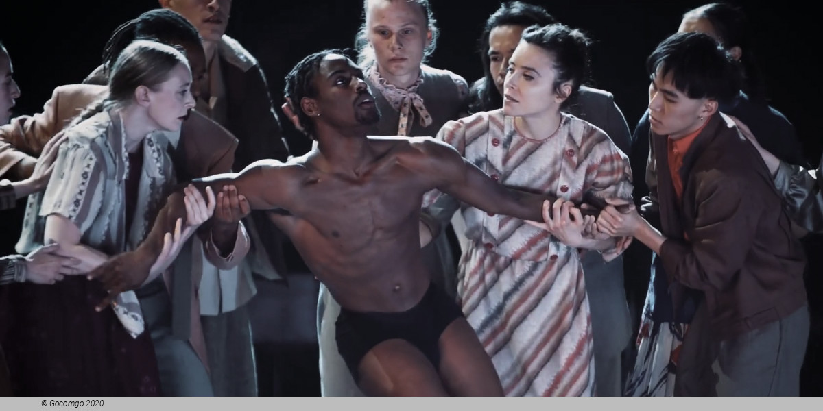 Light – Bach Dances, photo 6