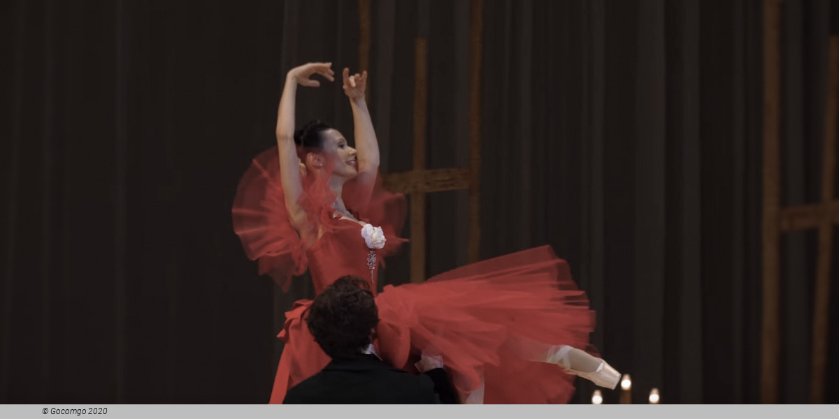 Macmillan|Mcgregor|Ashton