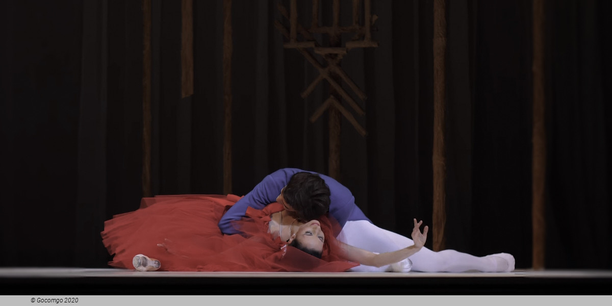 Macmillan|Mcgregor|Ashton