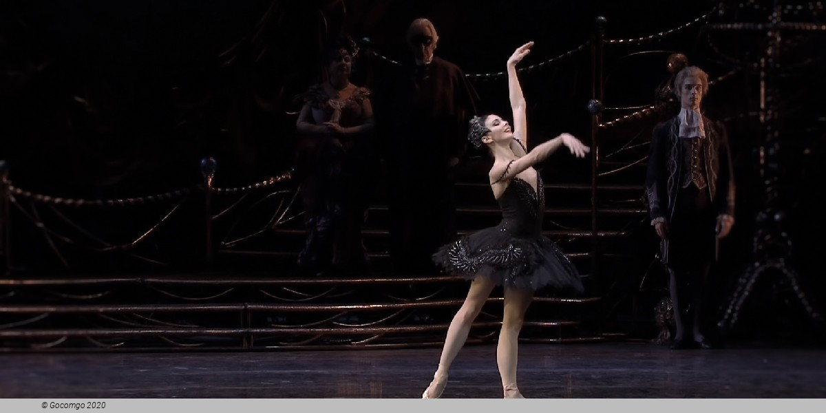 Swan Lake