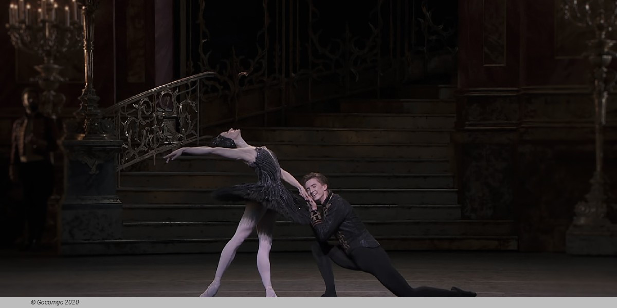 Swan Lake