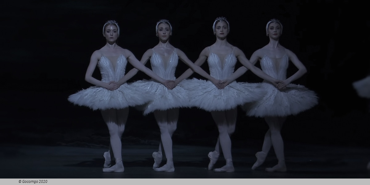 Swan Lake, photo 4