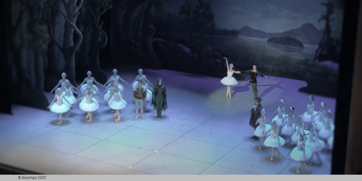 Swan Lake, photo 8