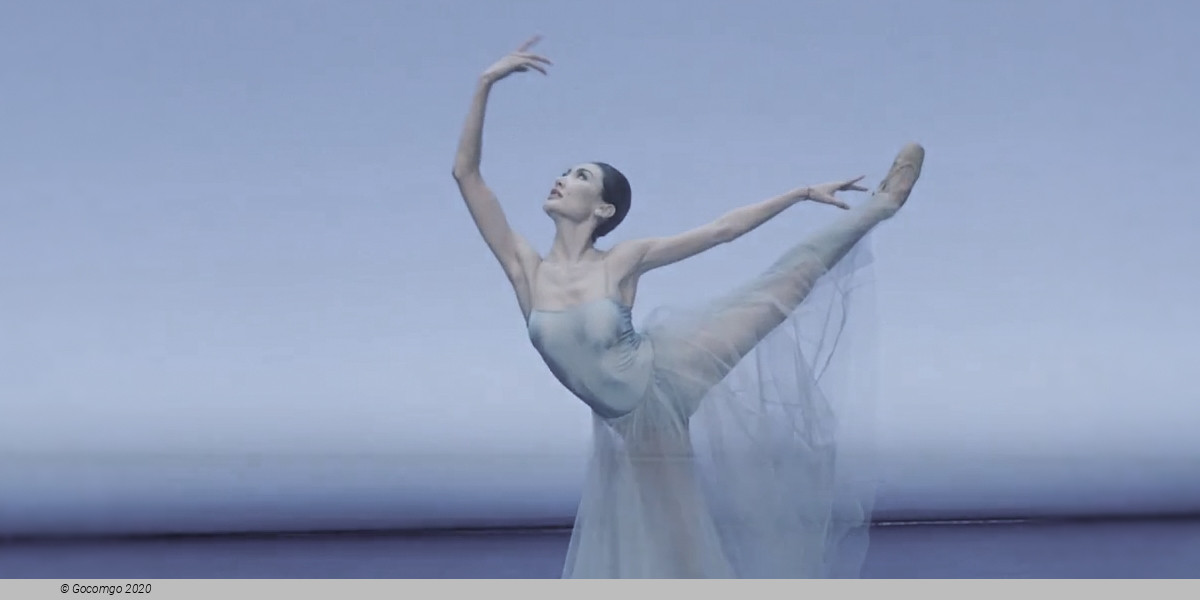 Evening in honor of Claude Bessy, photo 1