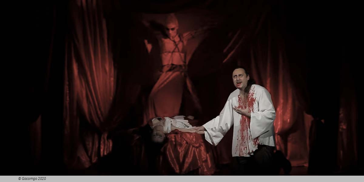 Dracula Musical at Karlin Theatre Prague 3, photo 1